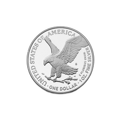 2025 S Silver American Eagle $1 US Navy Privy 250th Anniversary